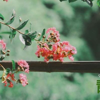 万博体育全站ManBetX截图